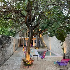  Apartahotel Hotelito Yum Kaax
