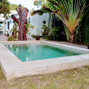 4* Hotel Capital O Casa Xtabentun, Merida, Palacio De La Musica